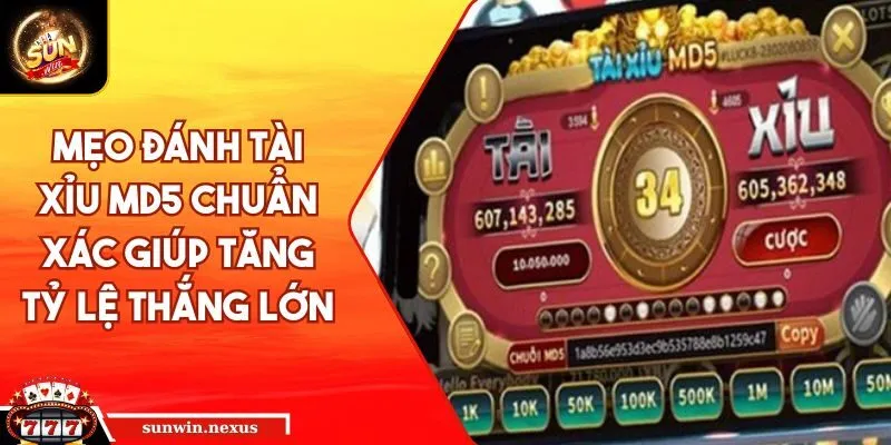Mẹo đánh Tài Xỉu MD5
